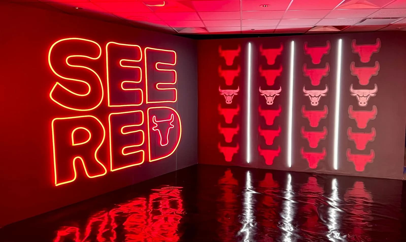 Chicago Bulls – "See Red" Promo